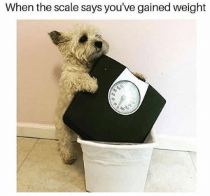 WHY ARE THE SCALES FLUCTUATING?